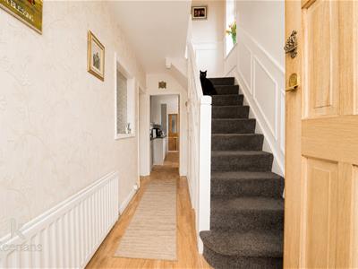 Picture 13